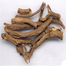 Siberian Ginseng root